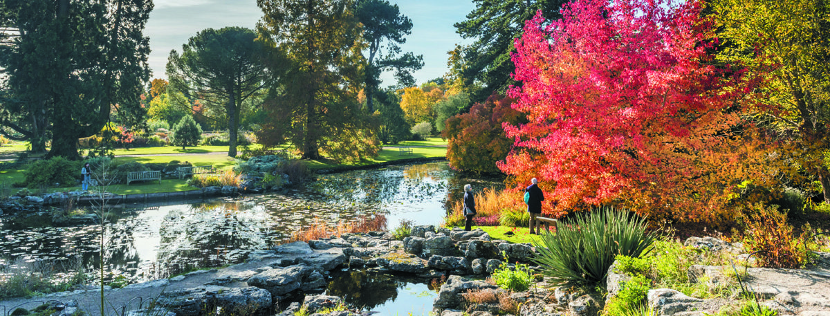 Botanic Garden Image