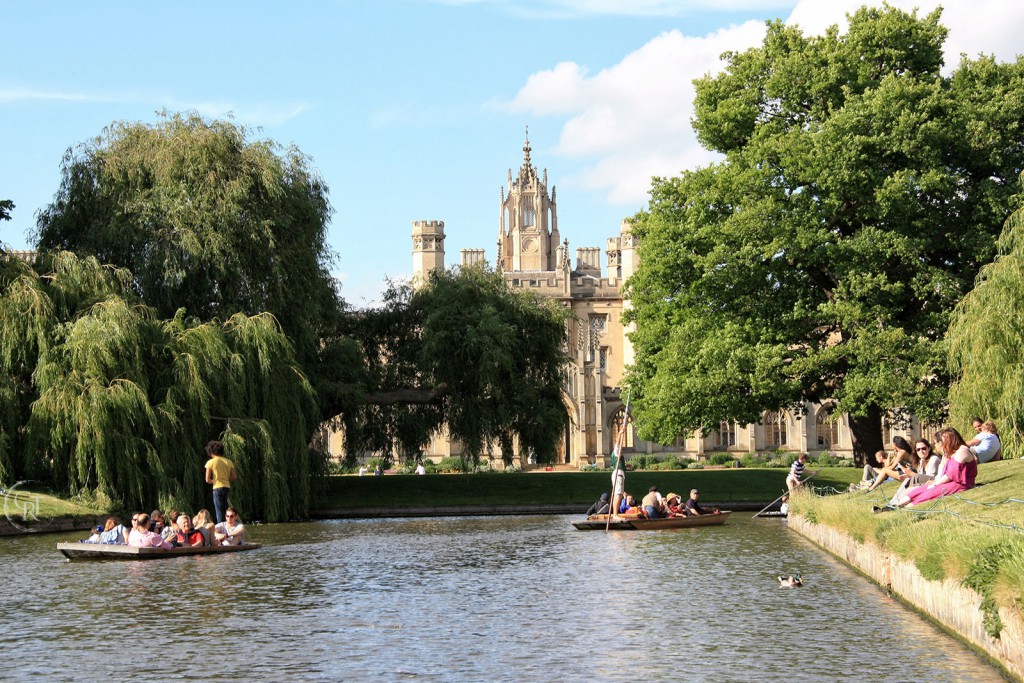Punting Image